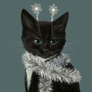 Пикчи и мемы с котиками