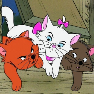 Люди и котики