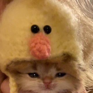 мемные животные