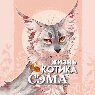 Жизнь кота Сэма🖤🐾