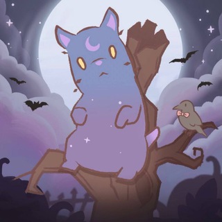 Cats&Soup – новости и обновления