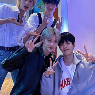 бродячие коты