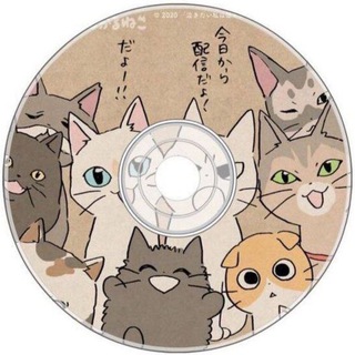 Диск с котятами 🐾