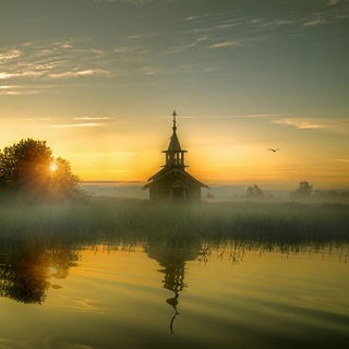 Факты и мысли