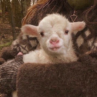 𓇢𓆸 садовница