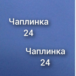 Чаплинка 24