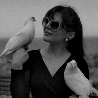 Чаргудей 🐈‍⬛