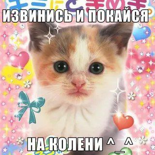 родной подвал госпожи-бога Чебупели