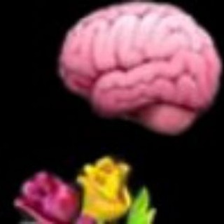 Чеки От Попуги