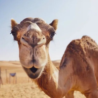 Подслушано Челябинск Новости