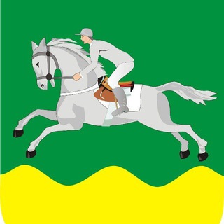 Черепановский район