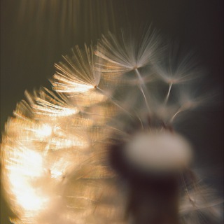 Красивые фотокарточки