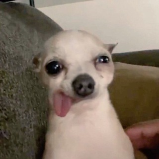 выхлопные газы роскоши