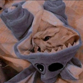 ~💗Kris.biser💗~