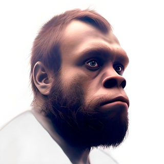 Криптохаев