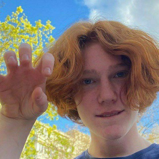 Жизнь дерзкой Мухи