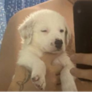 Блог-хуег fromshtandsticks