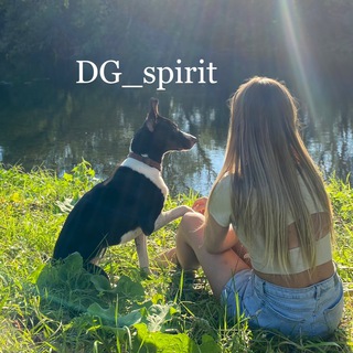 DG_spirit • Передержка • Кинолог • Выгул