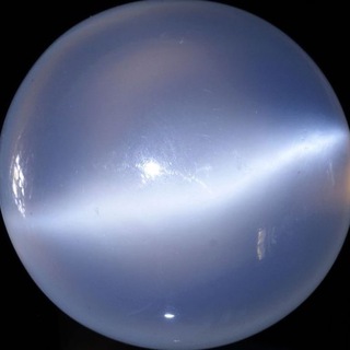 вампирский гороскоп