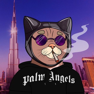 Чеширский психолог