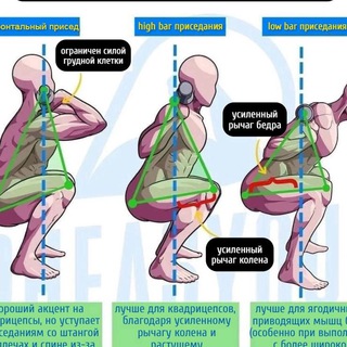 Честный Тренер