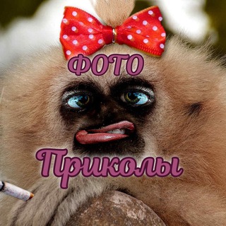 Фото Приколы