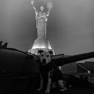 Чінаааа🇺🇦