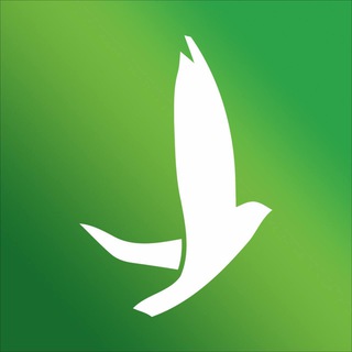 Чистый лист