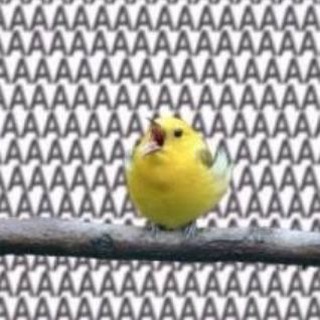 Дневник читателя