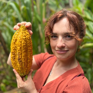 Chocoschool - обучение Шоколад / конфеты