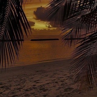 Jesus is my life 🕊🤍