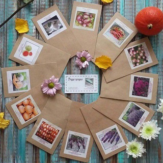 чудогрядка.рф | сад. огород. цветы