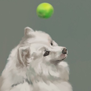 Денис Чужой постит своих псов