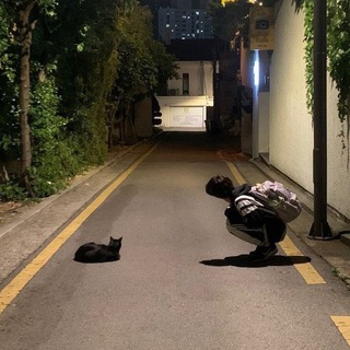 глаза цвета луны