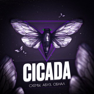 CICADA : Путь к успеху