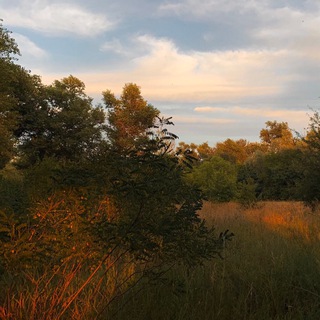 Цікаві досліди