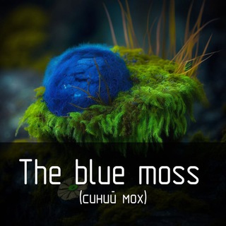 Синий мох ( the blue moss )
