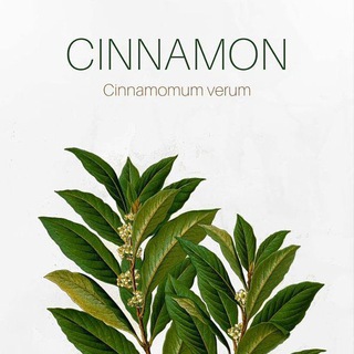 Cinnamon