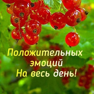 Склад НОВОСТЕЙ