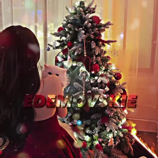 𝘾𝙇𝘼𝙉 𝙀𝘿𝙀𝙈𝙊𝙑𝙎𝙆𝙄𝙀