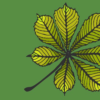 ЧИСТЫЙ ЕЙСК