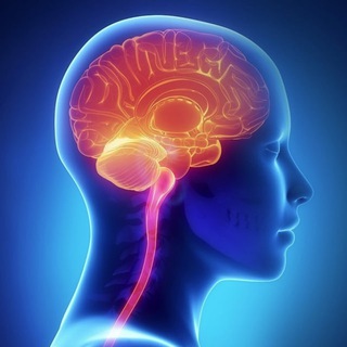 Ясный ум и вечная молодость