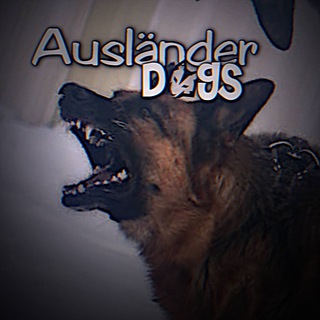 ᴀᴜsʟäɴᴅᴇʀ ᴅᴏɢs ᶜʰᵃᶰᶰᵉᶫ