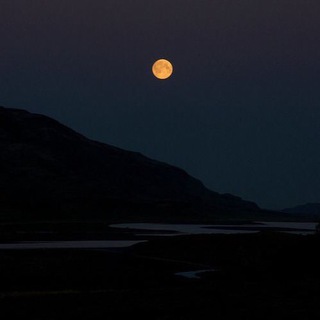 Чай или кофе ?