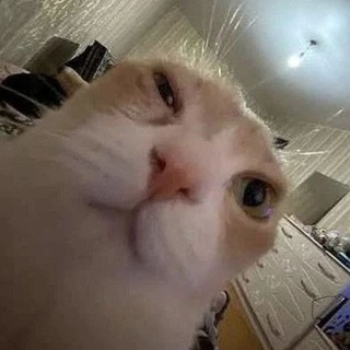 😡СОЛЯНКА😡