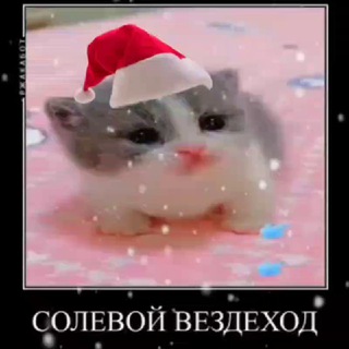 Солевой Вездеход