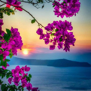 ✨МАГИЯ Жизни✨