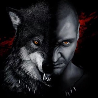 Боевая логика🐺