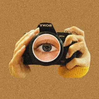 Поле подсолнухов 💛🌻🪿