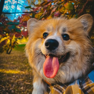 Точка комфорта